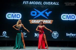 FIT-MODEL OVERALL
